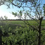 Tulpenzicht * 朱丽安娜多普