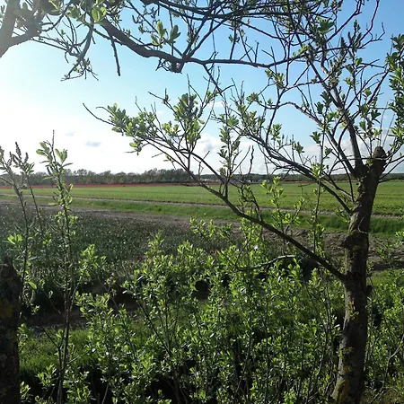 Tulpenzicht * יוליאנאדורפ