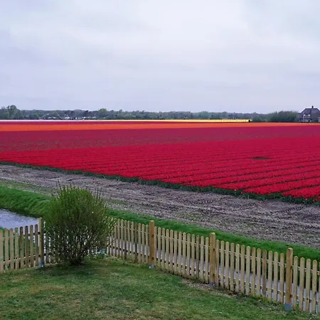 Tulpenzicht Vakantiehuis