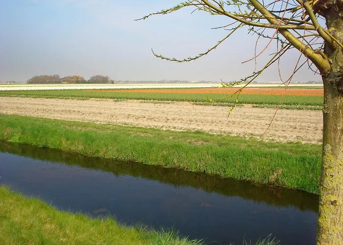 Vakantiehuis Tulpenzicht Julianadorp