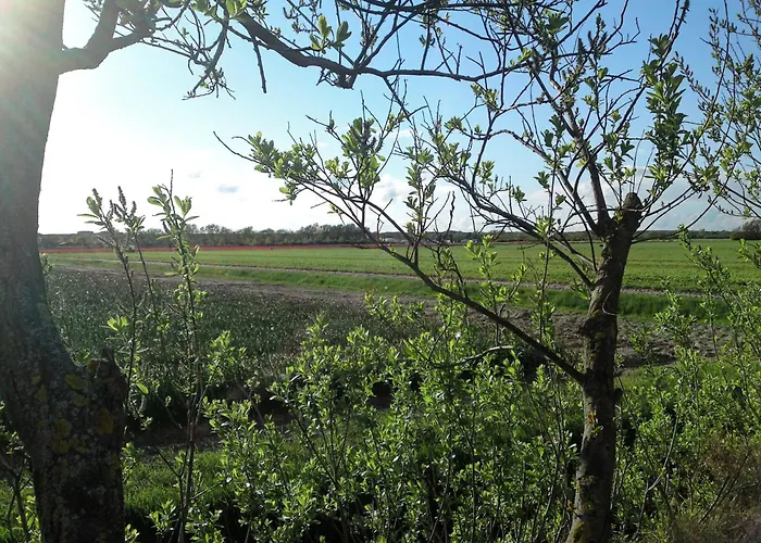 Tulpenzicht * Julianadorp