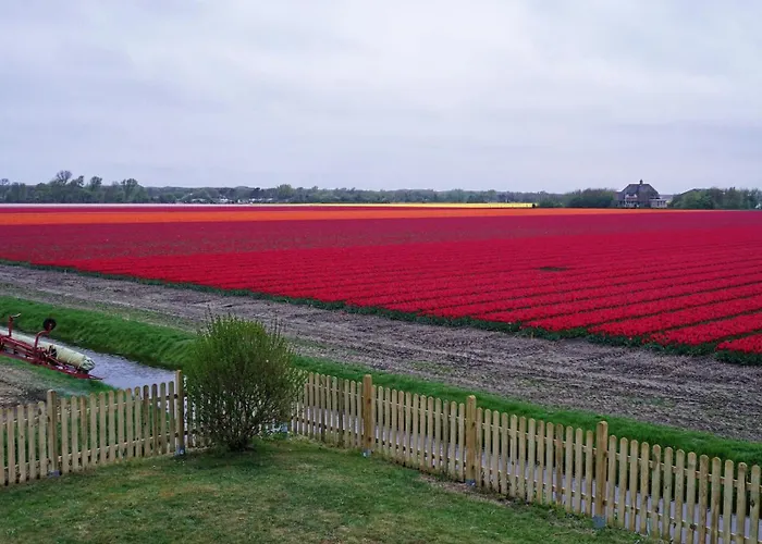 Tulpenzicht Vakantiehuis