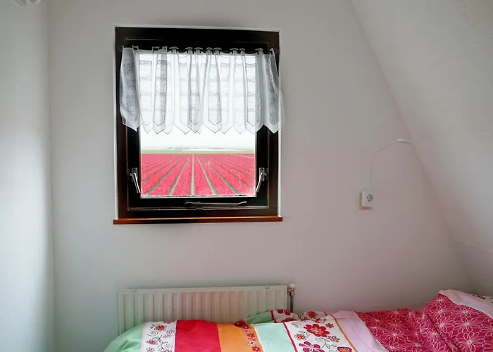 Tulpenzicht Vakantiehuis *