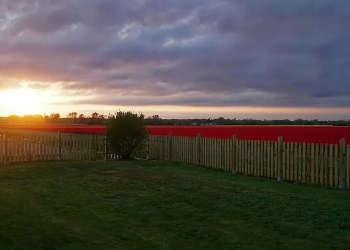 Tulpenzicht Vakantiehuis *