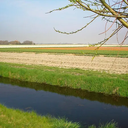 Casa de Férias Tulpenzicht Julianadorp