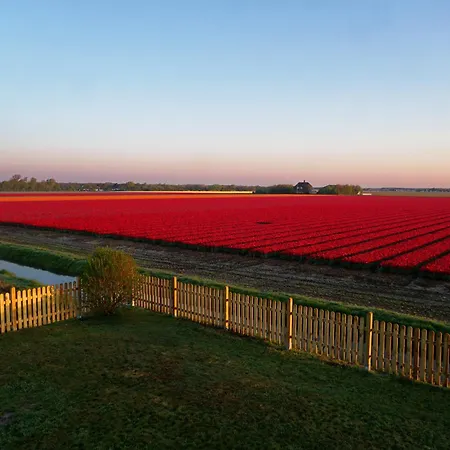 Tulpenzicht 줄리아나도르프