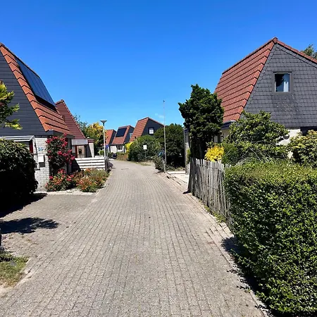 Tulpenzicht Holiday home *