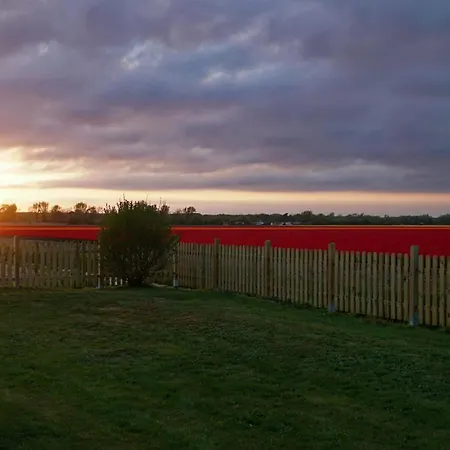 Tulpenzicht Holiday home *