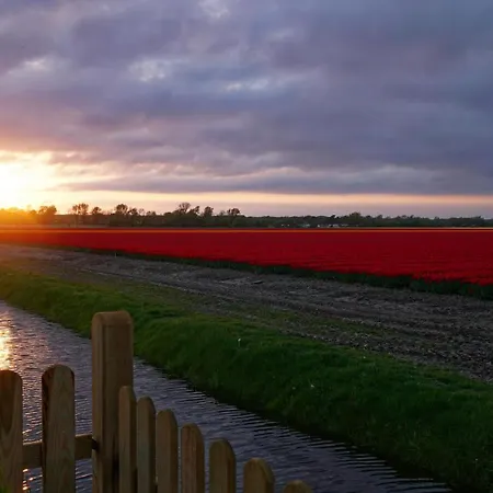 Tulpenzicht