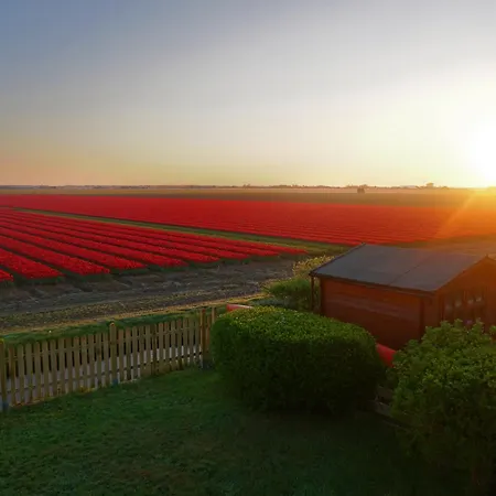 Tulpenzicht Holiday home