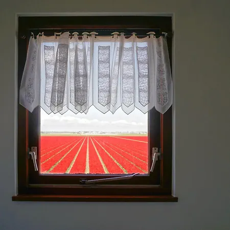 Tulpenzicht *