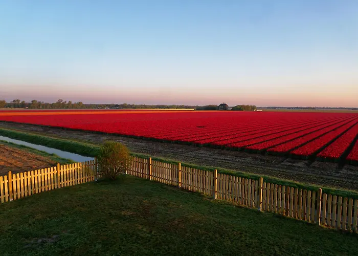 Tulpenzicht 줄리아나도르프